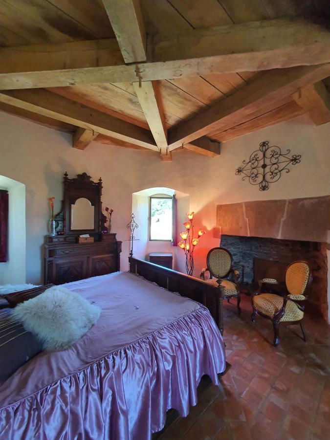 Chambre D'Hotes Au Chateau De Belcastel Belcastel  ภายนอก รูปภาพ