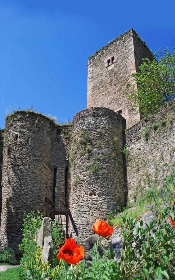 Chambre D'Hotes Au Chateau De Belcastel Belcastel  ภายนอก รูปภาพ