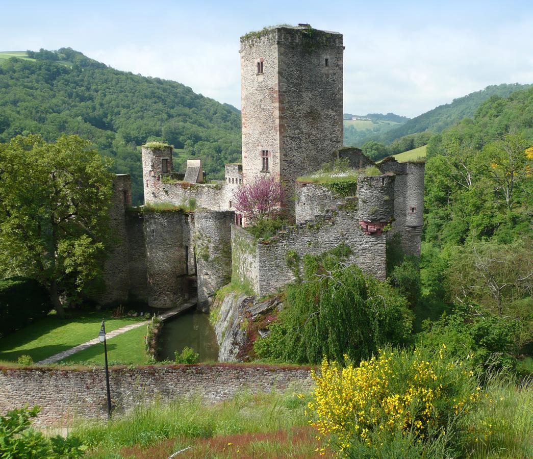 Chambre D'Hotes Au Chateau De Belcastel Belcastel  ภายนอก รูปภาพ